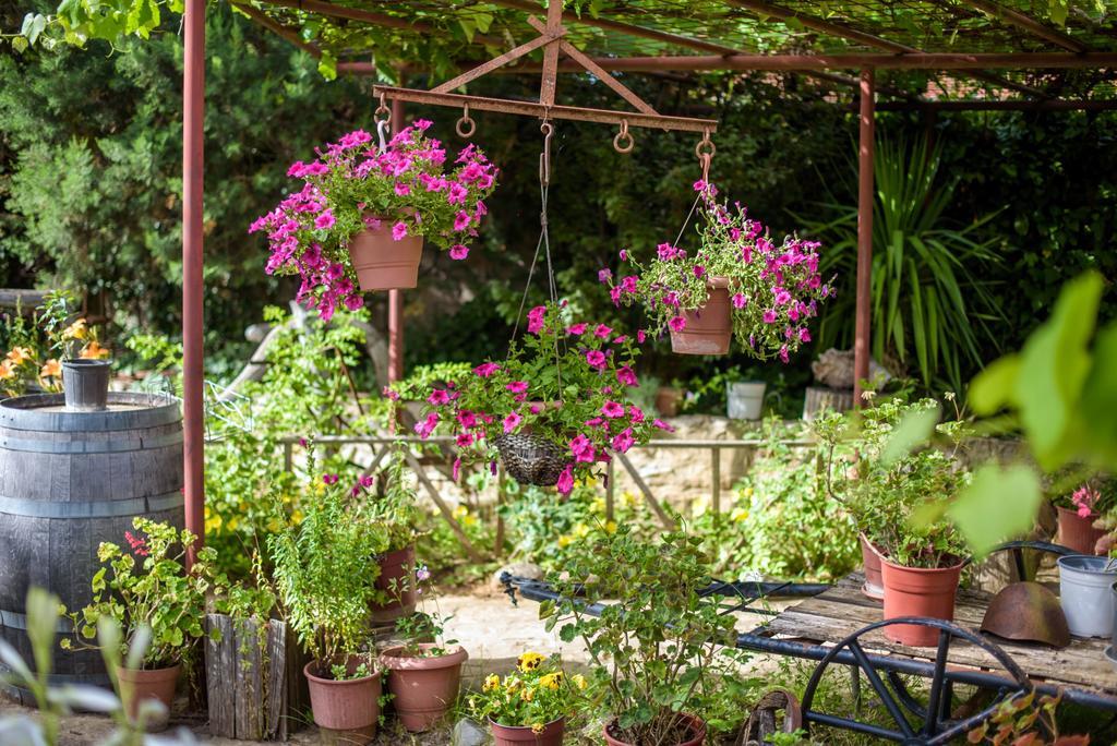 Guesthouse Alexandros Nestorion المظهر الخارجي الصورة
